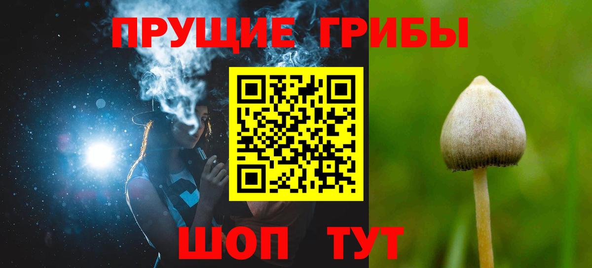 Псилоцибиновые грибы ЛСД Петровск
